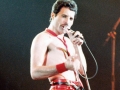 Freddie Mercury - 1978
