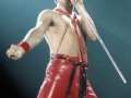 Freddie Mercury - 1978