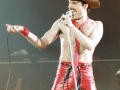 Freddie Mercury - 1978