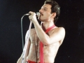Freddie Mercury - 1978