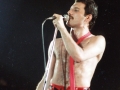 Freddie Mercury - 1978